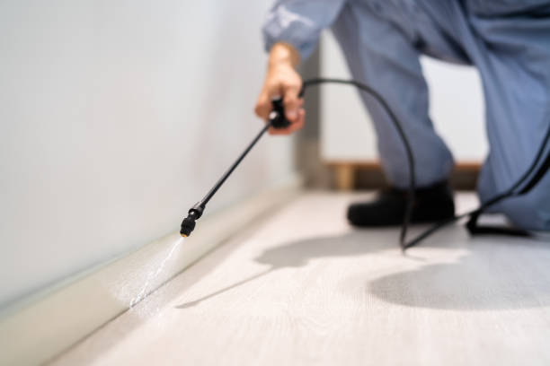 Licensed Rodent Control service in Floyd County County, TX - Nex Pest Control